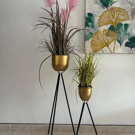 Guinea Плайя-дель-Інглес