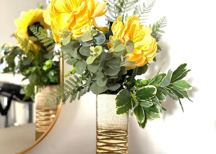 Guinea 公寓 普拉亚戴尔雷安格莱斯