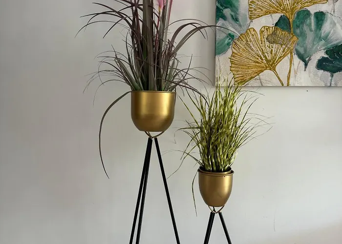 Guinea Playa del Ingles (Gran Canaria)